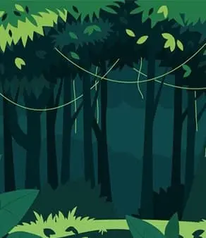 bonus card background